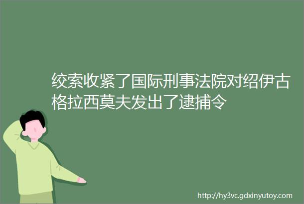 绞索收紧了国际刑事法院对绍伊古格拉西莫夫发出了逮捕令